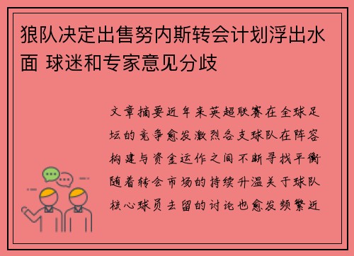 狼队决定出售努内斯转会计划浮出水面 球迷和专家意见分歧