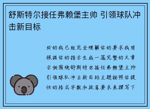 舒斯特尔接任弗赖堡主帅 引领球队冲击新目标
