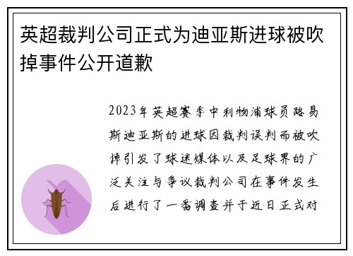 英超裁判公司正式为迪亚斯进球被吹掉事件公开道歉